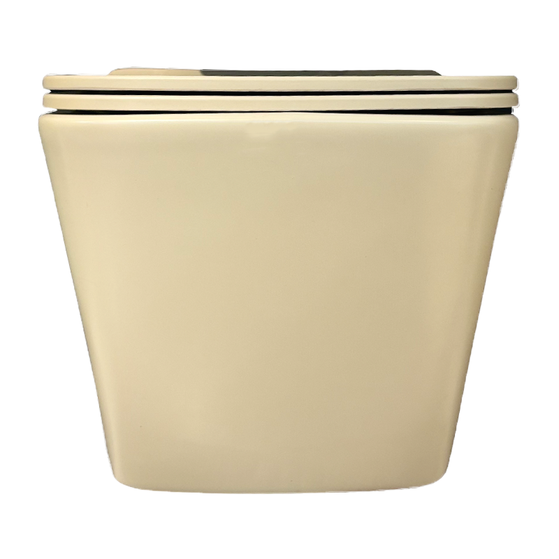توالت فرنگی وال هنگ کرم مات مدل B2364-M6-DA (به سفارش اروپا) مرآس MERASSE لاله22*12