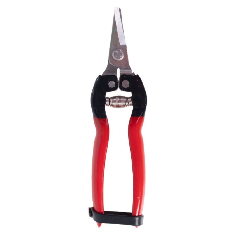 قیچی بارچینی کد S.A VFP009 واستر VASTER 1*J92      بنفشه13*12