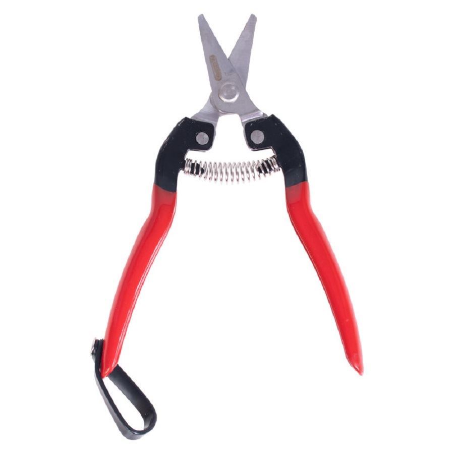 قیچی بارچینی کد S.A VFP009 واستر VASTER 1*J92      بنفشه13*12