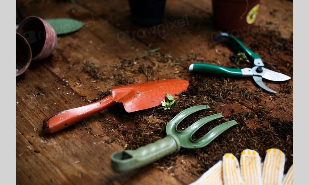 بهترین ابزارآلات باغبانی دستی حرفه‌ای؛ راهنمای کامل انتخاب، استفاده و نگهداری
